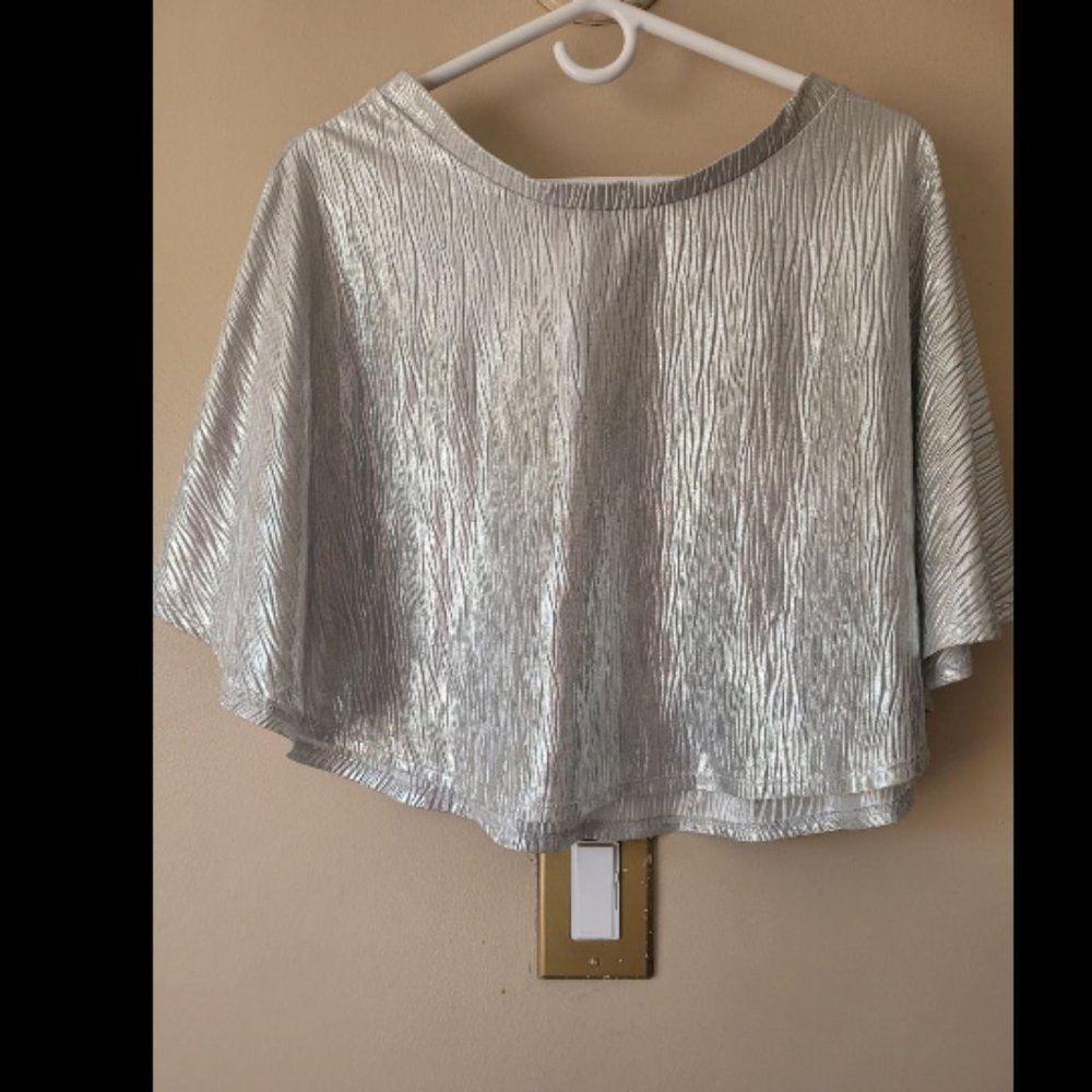 Silver Skirt